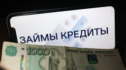В России впервые обернули микрозаймы в облигации