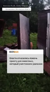 Власти Подмосковья отказались помочь приюту для бездомных животных, который уничтожило ураганом