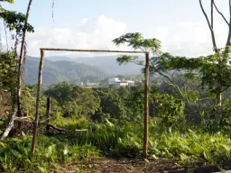 所罗门群岛中资金矿坍塌传多人死亡　突显“淘金热”隐忧