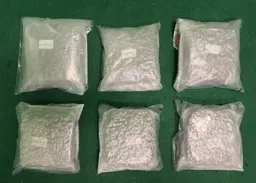 吉隆坡抵港19歲男旅客　行李藏50萬元大麻花斷正