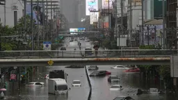 曼谷洪灾：运河决堤、道路被淹、100万个沙袋 、学校避难所