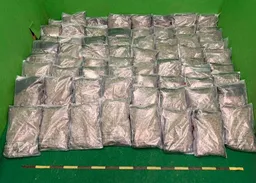 美籍男攜680萬元大麻花抵港　機場清關斷正