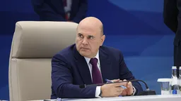 Мишустин освободил от должности замминистра просвещения РФ Шварцман