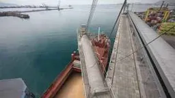 Три крупнейших терминала России на Черном море ограничили прием зерна из-за атак Украины