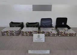 越南抵港先後檢59萬元私煙　兩男同被判囚8個月