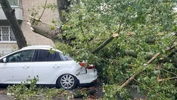 Режим ЧС введен в Ростове-на-Дону из-за непогоды