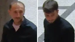 Грабители средь бела дня похитили из музея в Вене ожерелье с 600 бриллиантами