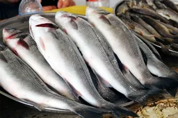 За 7 месяцев из Кыргызстана экспортировано 746,7 тонны рыбы