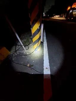 又是松鼠惹的禍 高雄大寮松鼠觸電斷線釀828戶停電
