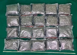 機場兩日破3宗販毒案　檢1500萬元大麻K仔拘5人