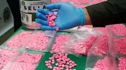Новая Зеландия одобрила клубный наркотик МДМА для лечения ПТСР