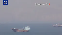 伊朗高官：美试图阻挠伊朗阿曼就霍尔木兹海峡谈判