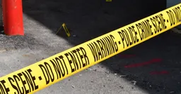 美國國慶深夜烤肉爆槍擊！8人中彈含4孩童