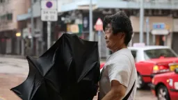 今年最强台风“红霞”登陆中国广东  逾71万人疏散