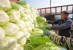 “甲醛白菜”再现中国：为何食品安全监管仍有盲区？