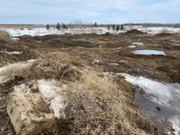 Экологи потребовали проверить бездействие приставов из-за хранилища нефтяных отходов под Нижневартовском