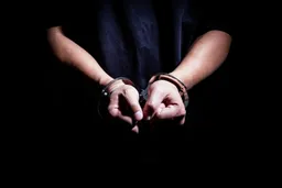 反腐记｜程晓波官宣落马 陆文俊、龙翔一审领刑