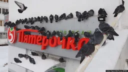 Сотрудниц "Пятерочки" уволили из магазина после того, как они рассказали о повышениях цен