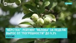 "Верстка": "Яблоко" сняли с выборов в России после того, как партия, по данным закрытых опросов, начала проходить в Госдуму