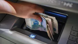 Кравцов: школы в дни выборов по возможности будут работать в обычном режиме