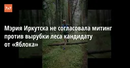 Мэрия Иркутска не согласовала митинг против вырубки леса кандидату от «Яблока»