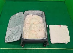 機場兩日3宗行李藏毒案拘3人　檢值約1300萬K毒大麻花