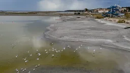 Рекордно низкий уровень воды в озере Веленце ударил по прибрежному туризму