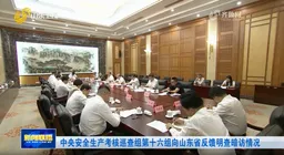 中央考核巡查组，向地方反馈明查暗访情况