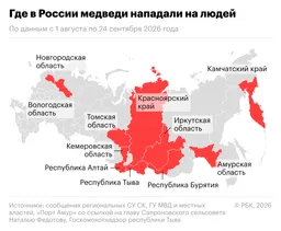 В Иркутской области сообщили, что убивают по 12-15 медведей в день