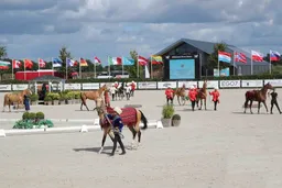 Туркменистан обозначил роль ахалтекинцев на чемпионате мира в Нидерландах