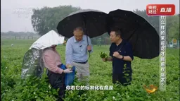 钟睒睒接受央视采访，再问平台权力：电商就是中间商