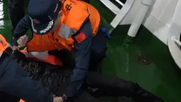 中国海警紧急救援越南籍遇险船舶
