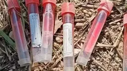 儿童福利院外发现多支病毒采样管，院方：目前没有查到来源