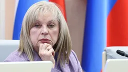 Памфилова заявила о провокациях со стороны уехавших из страны россиян