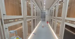 東森深度周報／出國毛孩怎麼辦 桃機寵物旅館應運而生