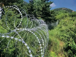 泰山景区刀片式隔离网将被拆除或替代