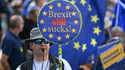 英国后悔脱欧？惟现考虑英重返欧盟“规模太大，时机太早”