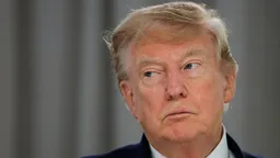 Трамп легализовал «кибер-ЧВК»: что это такое и как должна действовать Россия
