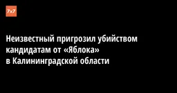 Неизвестный пригрозил убийством кандидатам от «Яблока» в Калининградской области